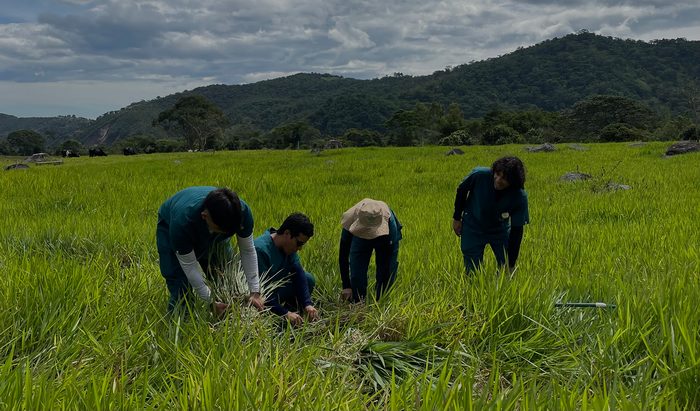 Aprendices en campo