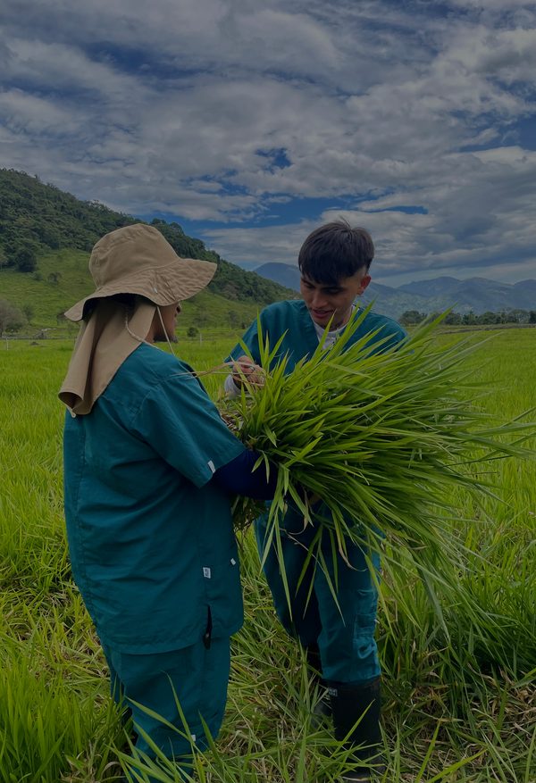 Aprendiz en campo